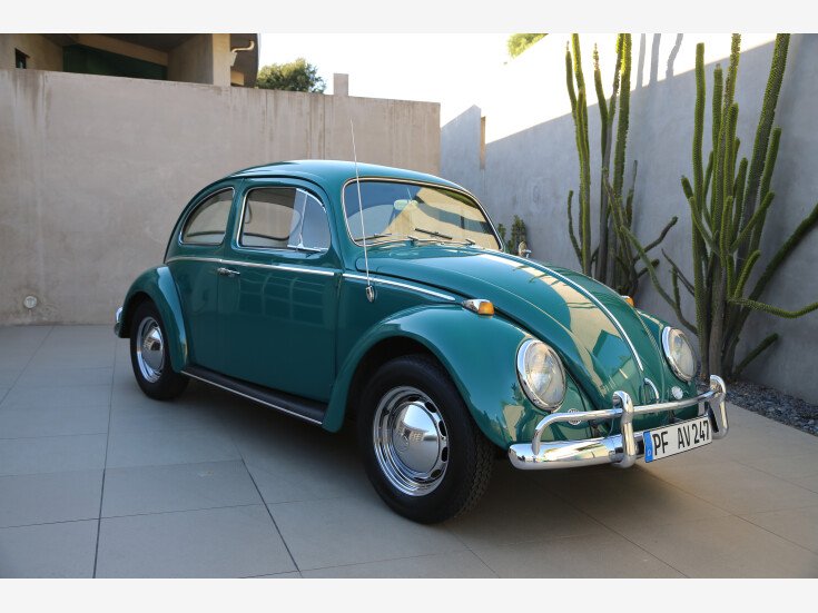 Thumbnail Photo undefined for 1964 Volkswagen Beetle Coupe